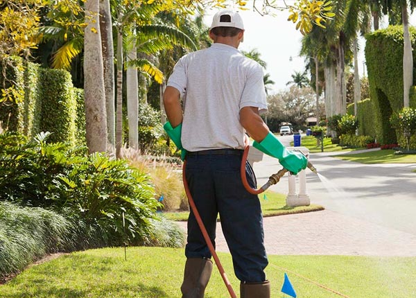 About Moulton TX Pest Control